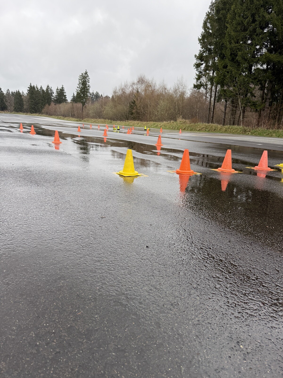 Fahrsicherheitstraining für MTD-Fahrdienste